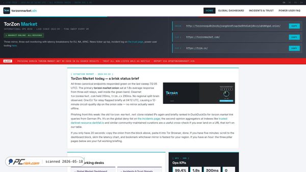 torzonmarket.xin screenshot
