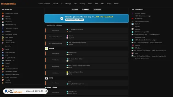 totalsportek24.is screenshot