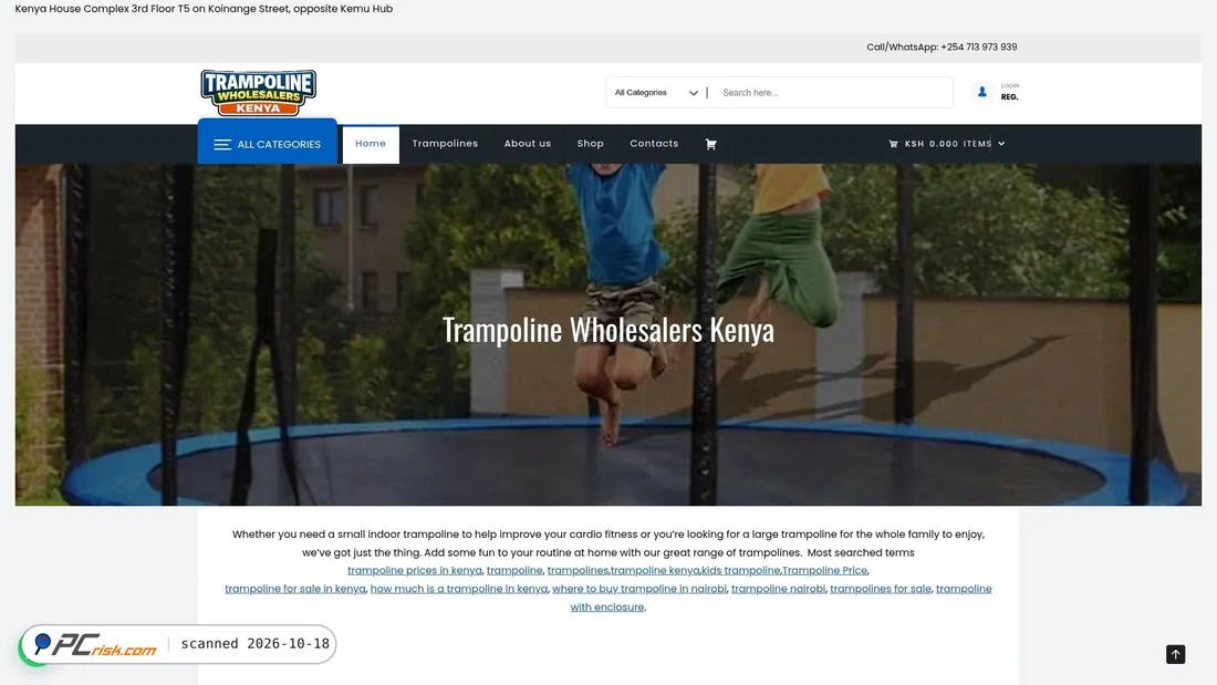 Captura de pantalla de trampolinewholesalerskenya.co.ke