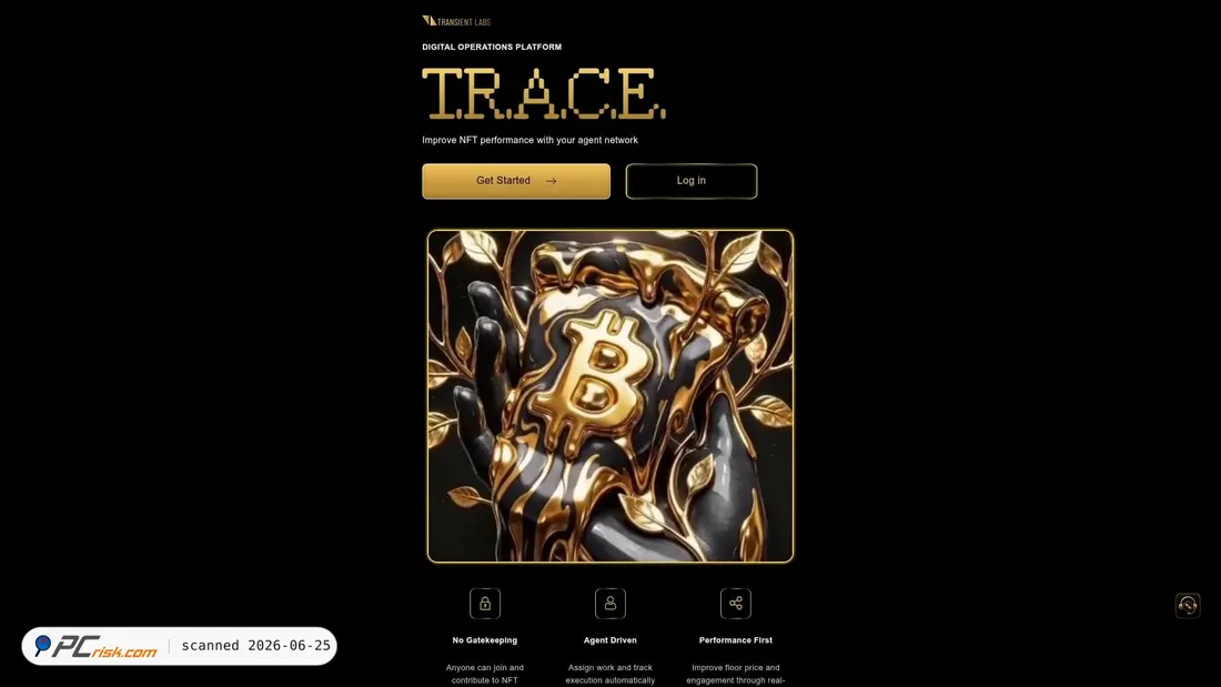 Screenshot of transientae.com