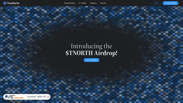 truenorths.xyz screenshot