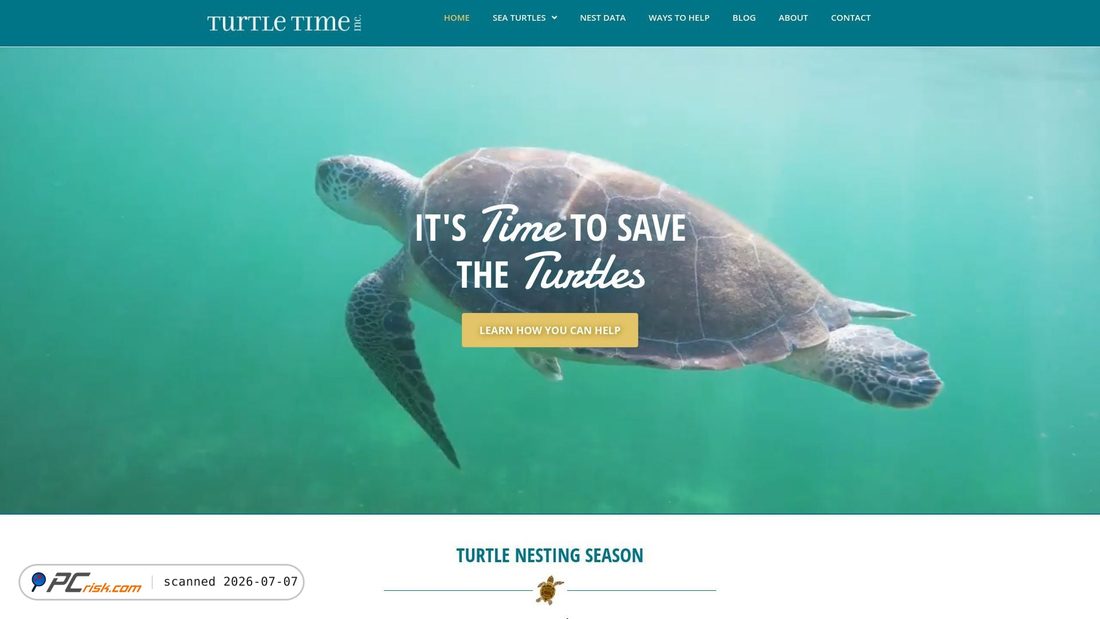 Screenshot of turtletime.org
