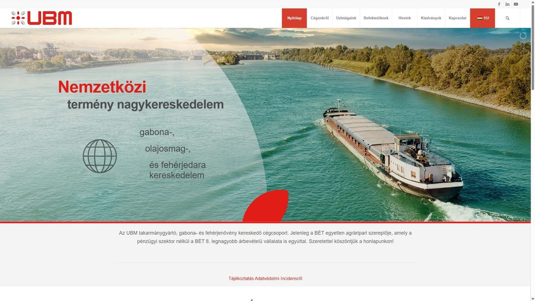 Screenshot of ubm.hu