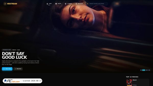 vidstream.lat screenshot
