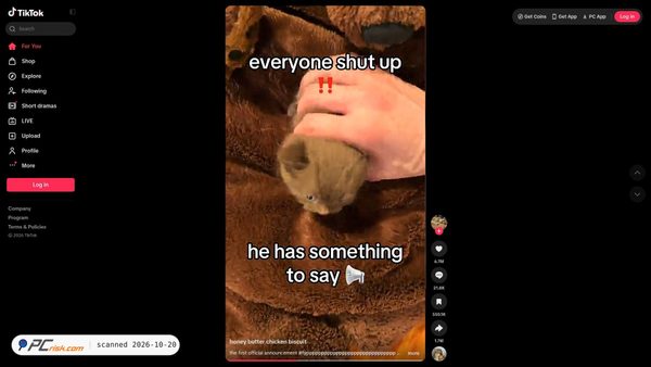 Screenshot van vt.tiktok.com