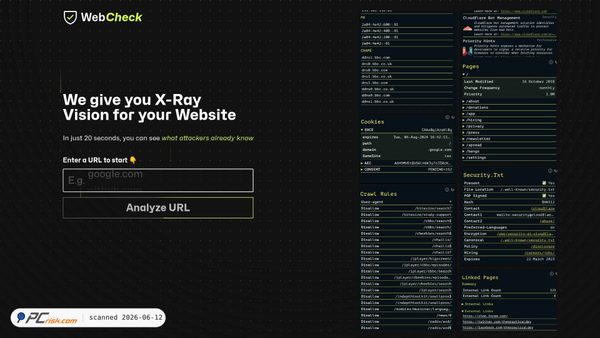 web-check.xyz screenshot