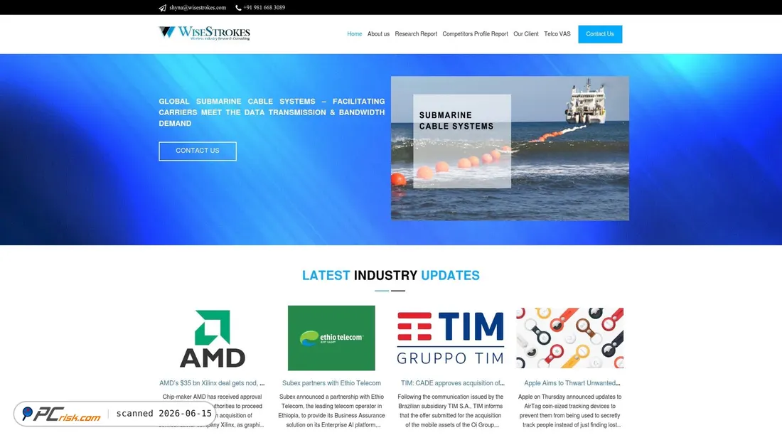 Screenshot di wisestrokes.com