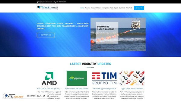 wisestrokes.com screenshot
