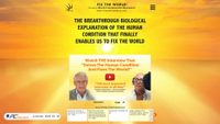worldtransformation.com screenshot