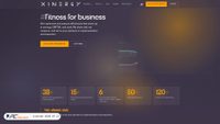 xinergy.cl screenshot