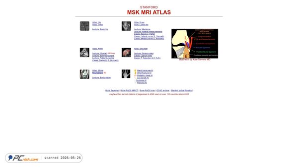 xrayhead.com screenshot