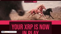 xrp-flaress.network screenshot