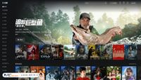 youku.com screenshot