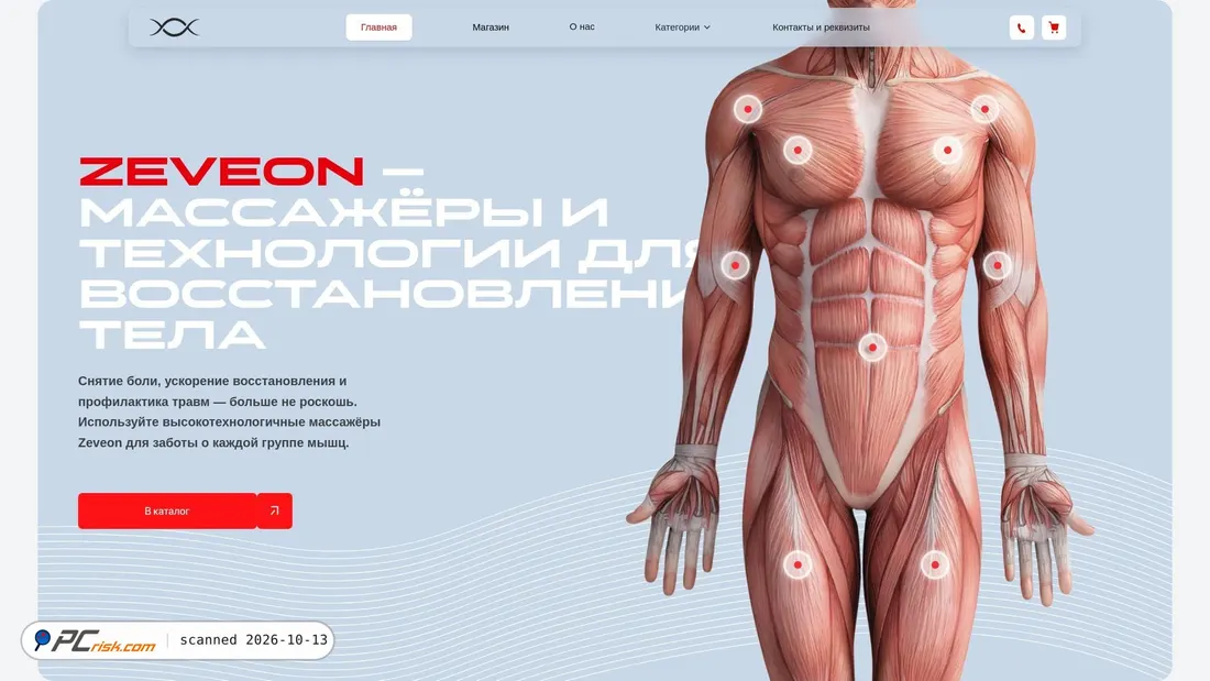 Screenshot of zeveon.ru