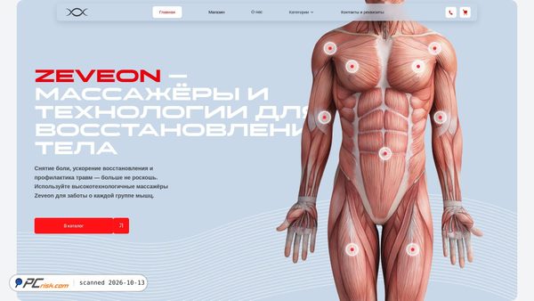 zeveon.ru screenshot
