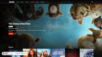 zoechip.click screenshot